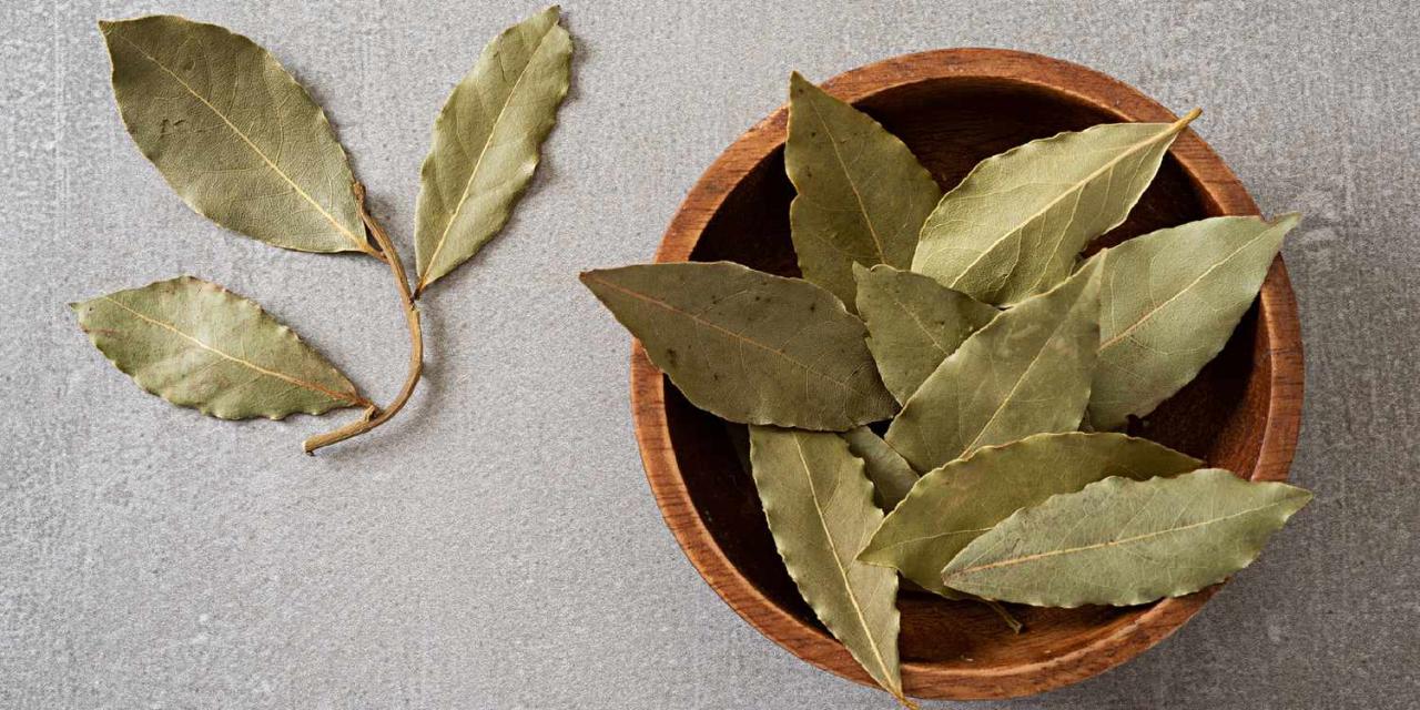 How to Use Bay Leaf Substitutes for Perfectly Flavored Meals